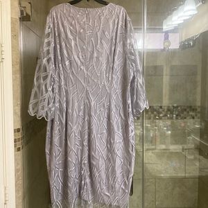 Size 3X Woman’s Special Occasion dress. Silver in color w/ sheer sleeves.